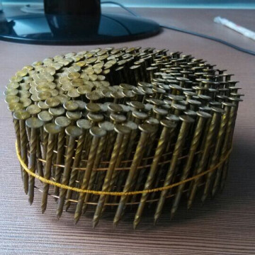 Anping Good Quality Coil Nail