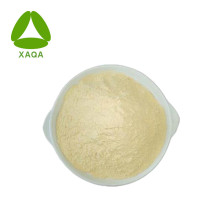 Rétinyl Palmitate Powder CAS no 79-81-2