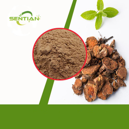 Rhodiola Rosea Extract Rhodiola rosea