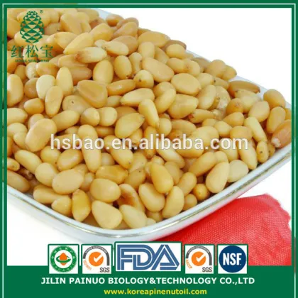 Promotion Grade A Wild Harvest Chinese Red Pine Nut Kernels