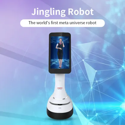 Digital Virtual Character and Service Robot for Exhibition Halls