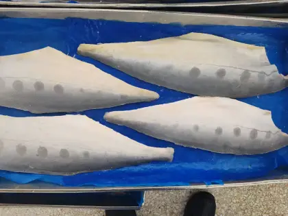 Frozen Queenfish fillet