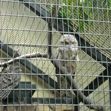Stainless Steel Welded Mesh Animal Fence