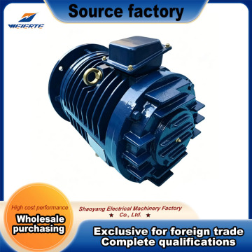 Heavy-Duty Roller Table Motor with IP55 Protection