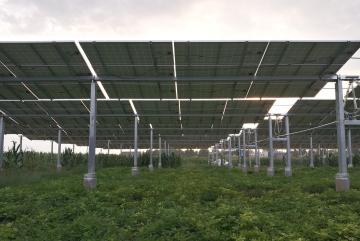 Easy Installation Solar Ground Mount Tracker Single Axis