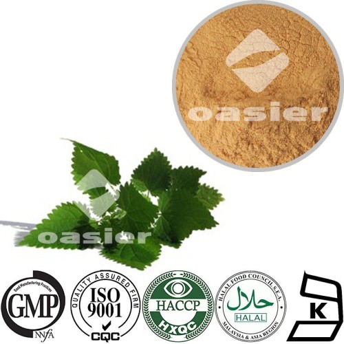 Nettle Root Extract: Uses And Benefits Of This Healing Plant - Foto 6