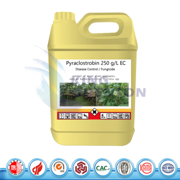 King Quenson Agrochemical Pyraclostrobin 98% Tc Pyraclostrobin 240 G/L Sc