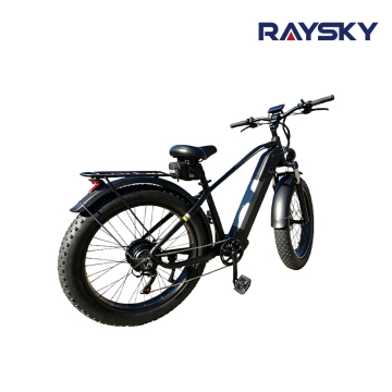 Hardtail Fat Tire Mountain Electric Bike