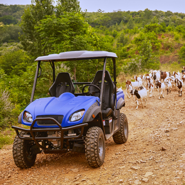 Electric UTV 4x4 for Adults: Wholesale Farm 4WD UTVs