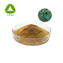 Siberian Ginseng Extract Eleutheroside BE Powder