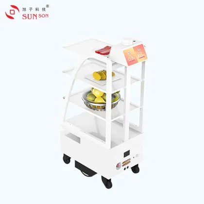 Lidar Navigation Delivery Robot