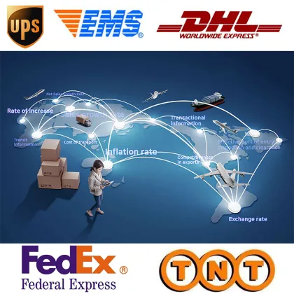 High Heels Female Thin Single Shoe Fairy Wind