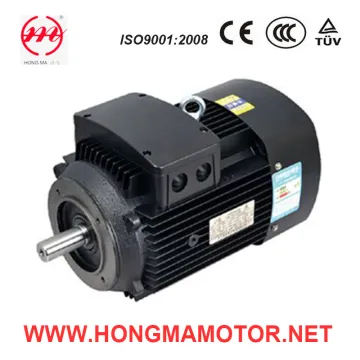 2 Pole AC Asynchronous Induction Pump Motor