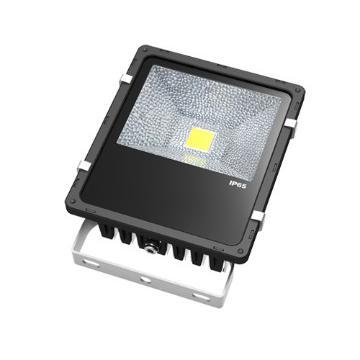 LED Floodlight 50W Bridgelux  Source IP65