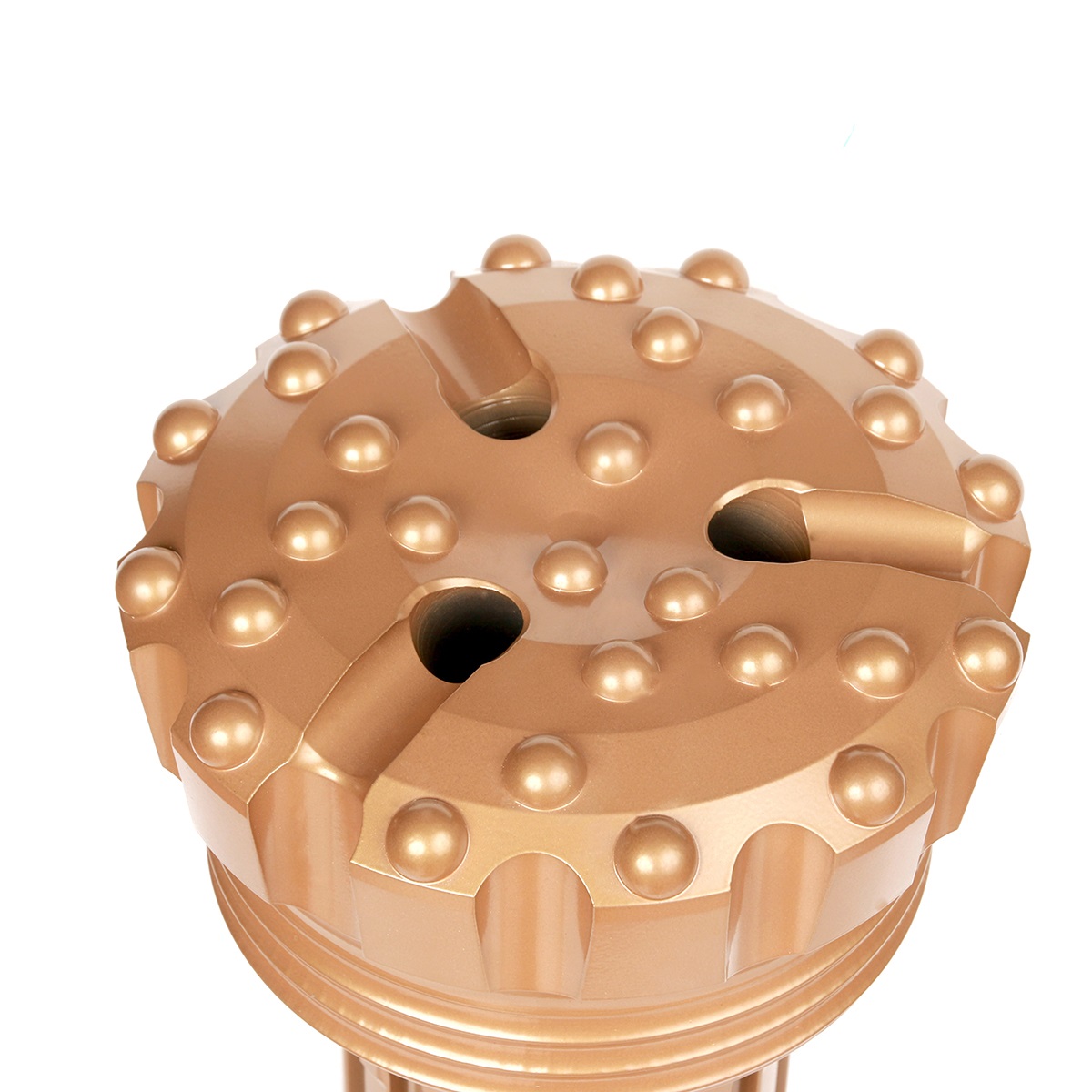 photobank - 2024-09-11T153328.912