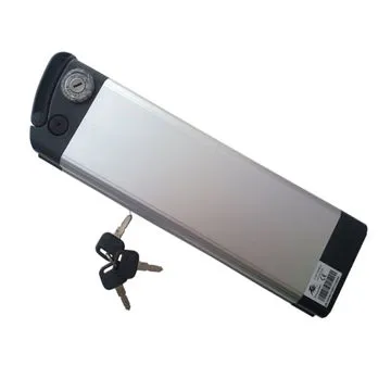 Shenzhen rechargeable batteries with BMS and charger lifepo4 48v 10ah battery