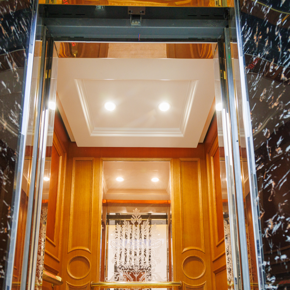 Wood And Mirror Decorate Passenger Lift for Disabled