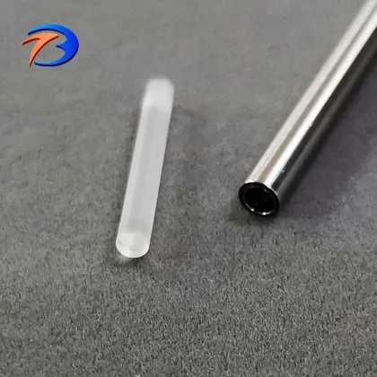 Custom Optical Rod Lens for Rigid Endoscope: Endoscope Camera Lens for Medical Equipment