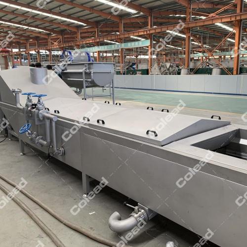 Continuous Blanching Machine for vegetable