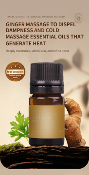 Mugwort & Ginger Therapeutic Body Essence Oil