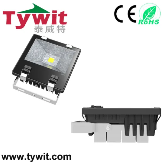 High Brightness 70W LED Landscape Light
