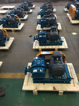 Robuschi Continental Centrifugal Blower Solutions