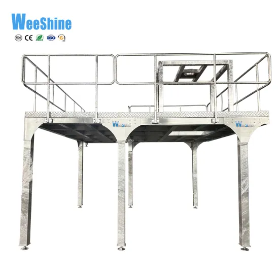 Supporting Platform for Packing Product Line Machine