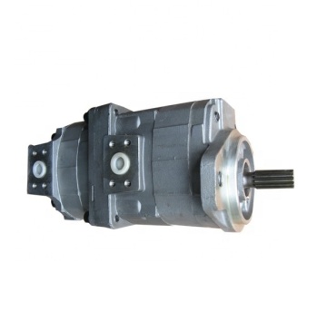 Hydraulic Gear Pumps Part 705-95-07081 for Dump Truck HD325-7