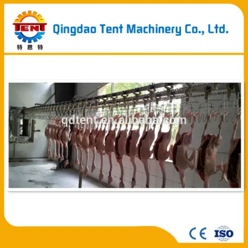 Halal Chicken Slaughterhouse Machine, High Quality Halal Chicken