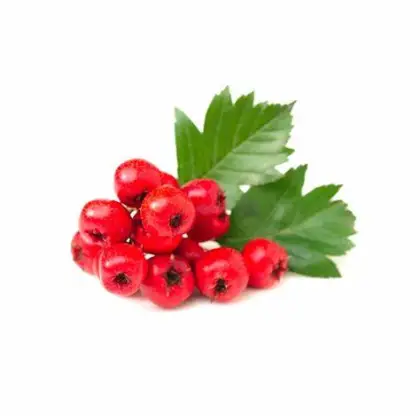 Natural Hawthorn Berry Fruit Powder