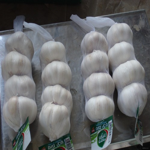 Fresh garlic/garlic powder/fresh garlic/garlic price