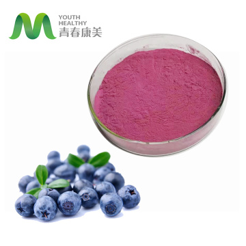 Good Price Blueberry Juice Powder