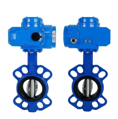 Cast Iron Motorized Butterfly Valve With Electric Actuator Butterfly Valve