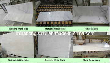 Statuary White Marble, White Marble, White Marble Slab, Polish White Marble, White Marble Tile, Polish Slab