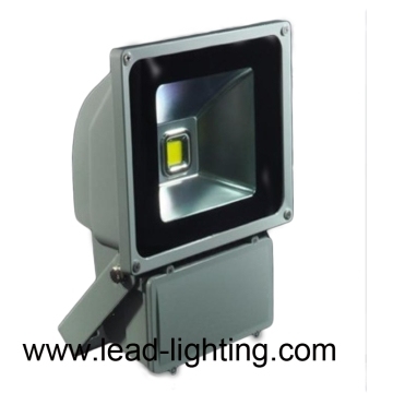 High Quality 60W LED Flood Light (LD-FL-60W-CL1)