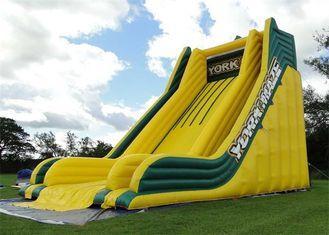 Outdoor Commercial Inflatable Slide, Exciting Giant Inflata