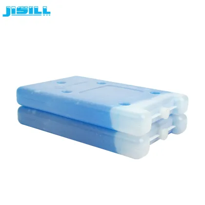 Reusable Sub-zero Ice Brick
