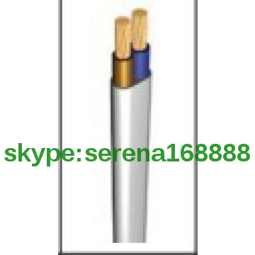 HIGH QUALITYRV  CU/PVC/PVC FLEXIBLE FLAT CALBE 2*2.5mm2 H05VVH2-F 300/