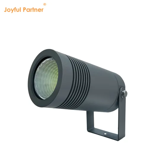 Factory Price 10W Waterproof IP65 LED Spot Lights for Outdoor Yard Tree Decoration (100-240VAC)