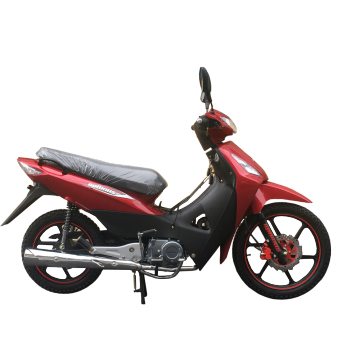 OEM Factory Sale 135cc Motorcycles OP135-IVD for Custom Brand