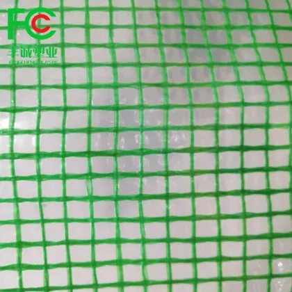 Transparent poly tarp clear plastic tarpaulin