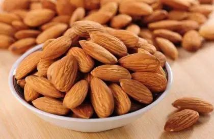 Apricot Kernels Almond Nuts