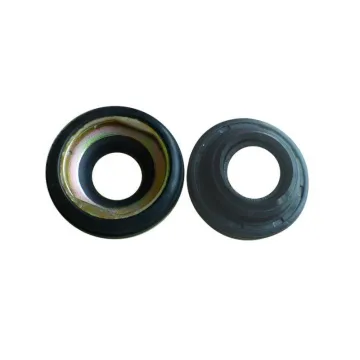 Auto Compressor Oil Seal for GM V5 V7 RC.300.101