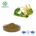 Hot Selling Honeysuckle Extract Powder Chlorogenic Acid