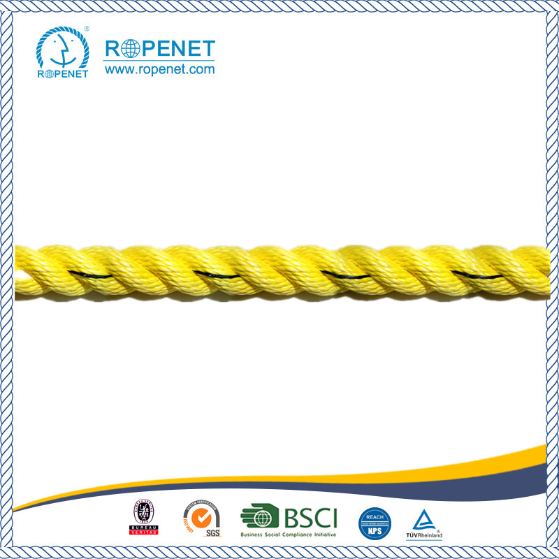 Super High Quality Twisted PP Danline Rope