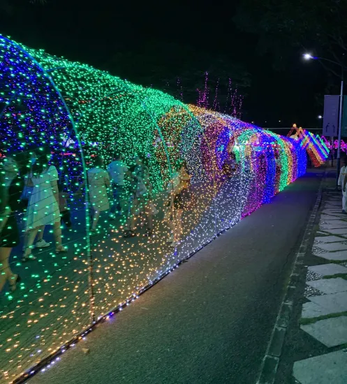 Customizable 3D Arch LED Lights for Outdoor Garden and Christmas Decorations