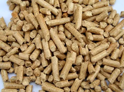 China Pellet Machine/Wood Pellet Machine/Pellet Machine