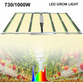 Hurtowe zapasy ogrodowe LED Grow Work Full Spectrum