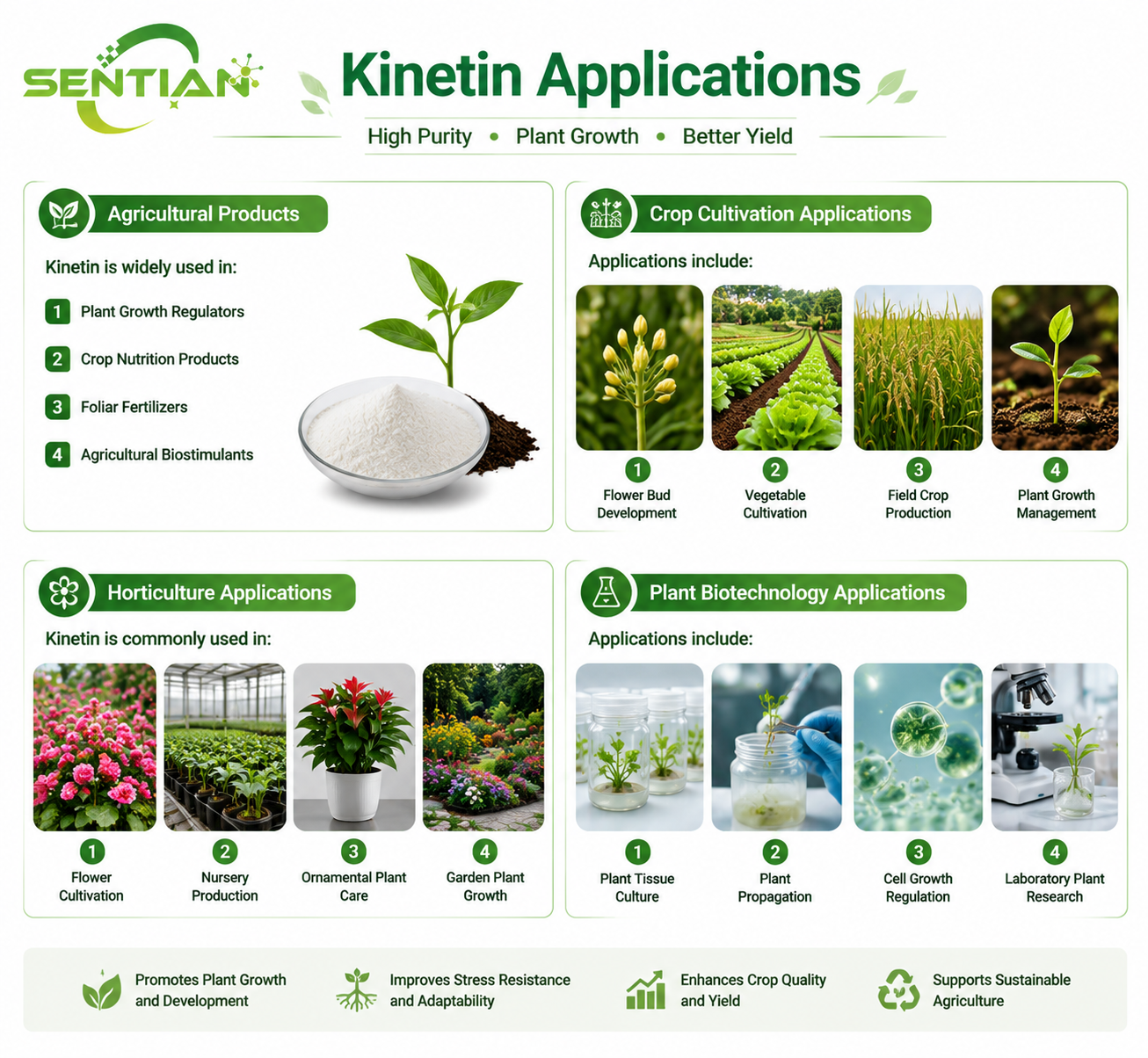 Kinetin（2）