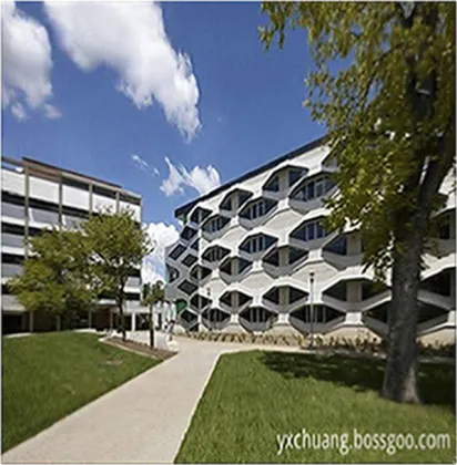 100% Pure Organic Rose Essential oil for Skin